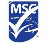 MSC