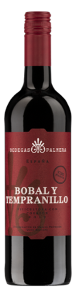 Produktfoto zu Bobal y Tempranillo, rot