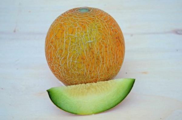 Produktfoto zu Melone Galia Stück ca. 0,6 kg