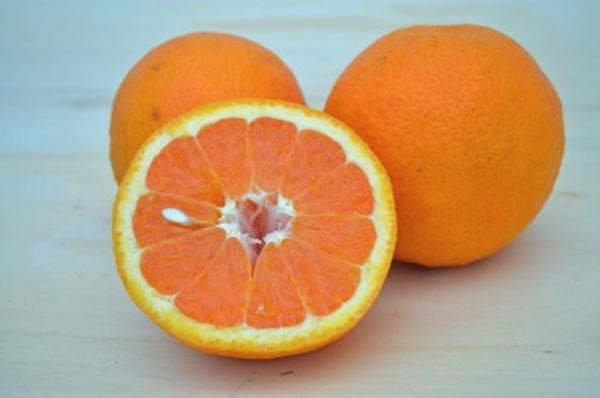 Produktfoto zu Orangen