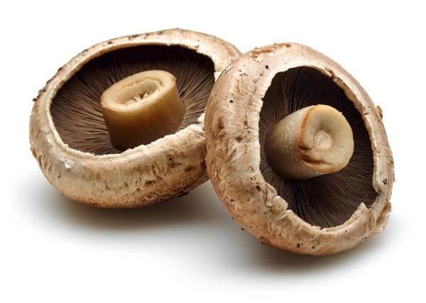 Produktfoto zu Portobello Riesenchampignons