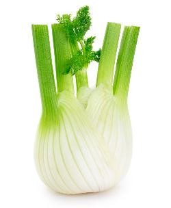 Produktfoto zu Fenchel