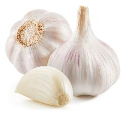 Produktfoto zu Knoblauch